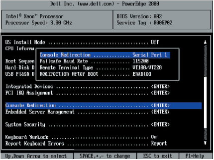 BIOS Redirection