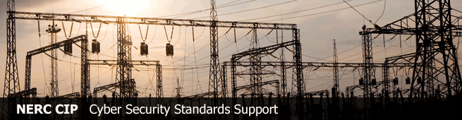 Cyber Security Standards Support